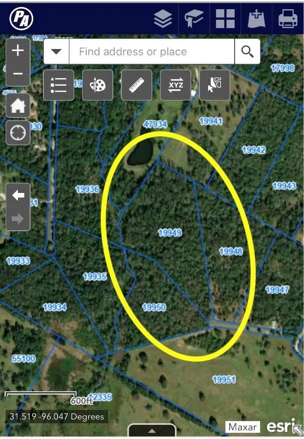 13 Ac Pr 387 Field Buffalo, TX 75831