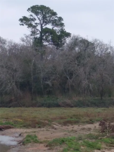 Fm 2351 Road