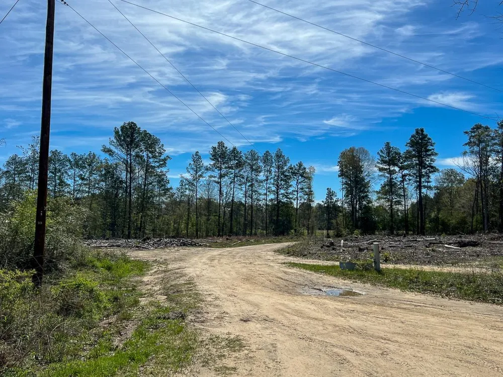 1 County Road 443 Kirbyville, TX 75956