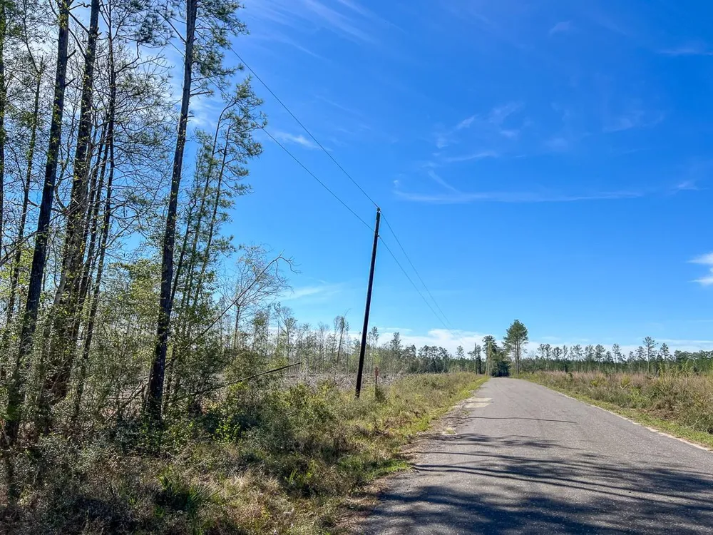 1 County Road 443 Kirbyville, TX 75956