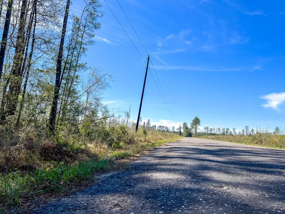 1 County Road 443 Kirbyville, TX 75956