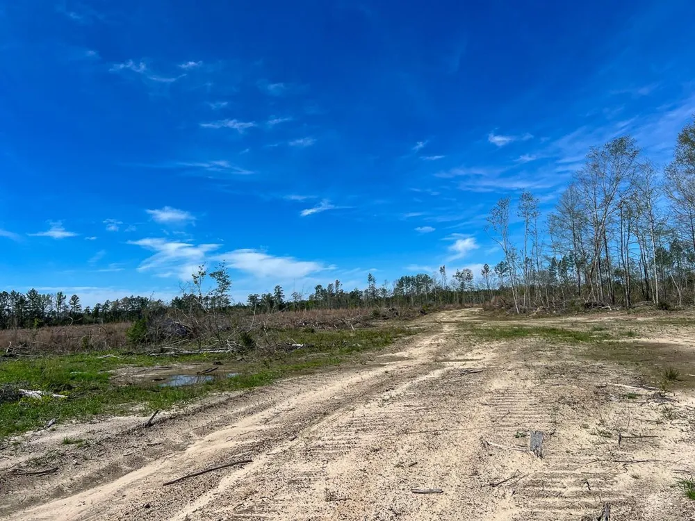 1 County Road 443 Kirbyville, TX 75956