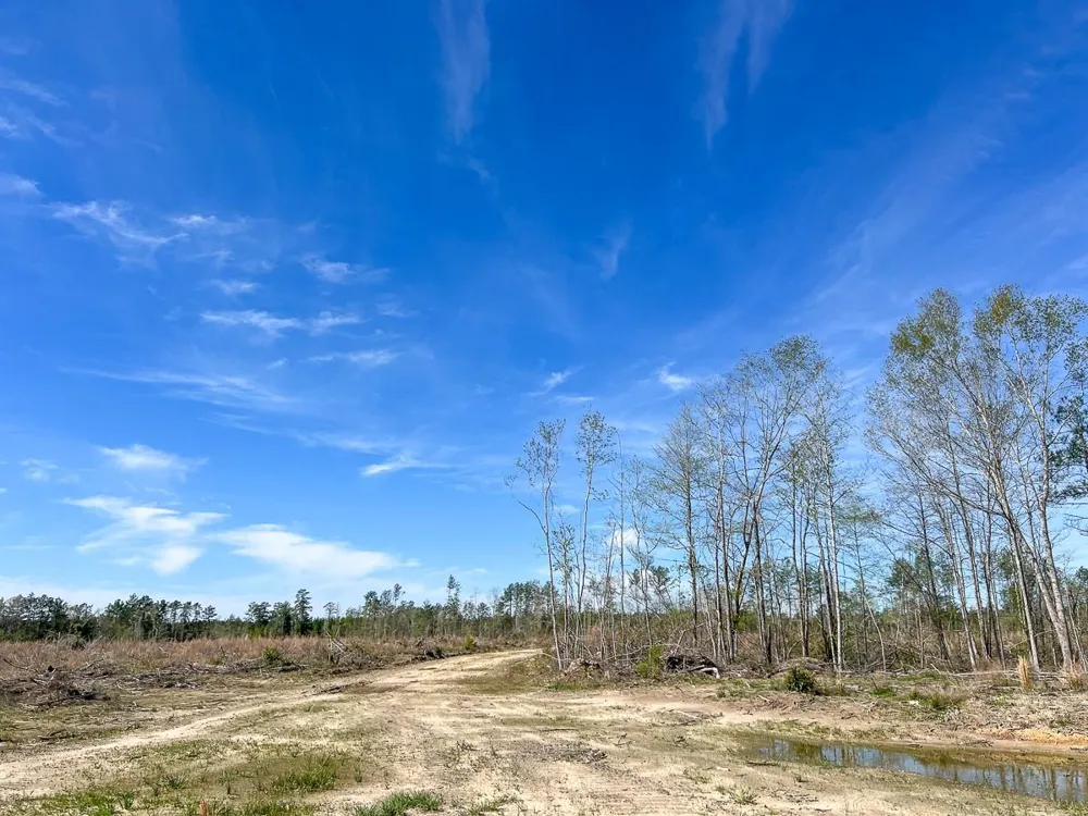 1 County Road 443 Kirbyville, TX 75956
