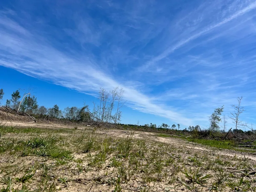 1 County Road 443 Kirbyville, TX 75956
