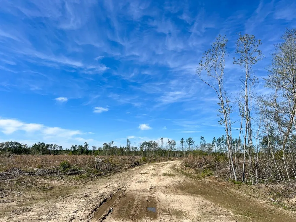 1 County Road 443 Kirbyville, TX 75956