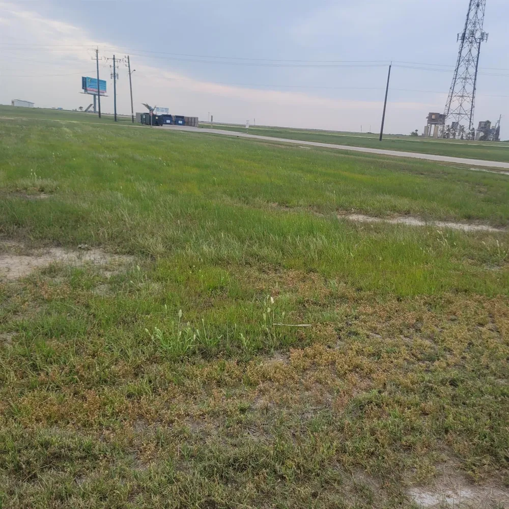 Coronado Drive Freeport, TX 77541