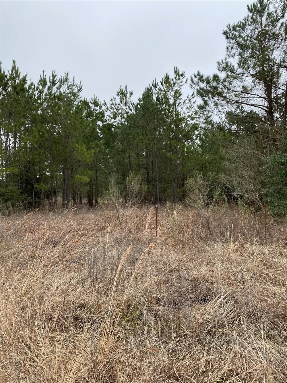 Parcel 6250 Crockett, TX 75851