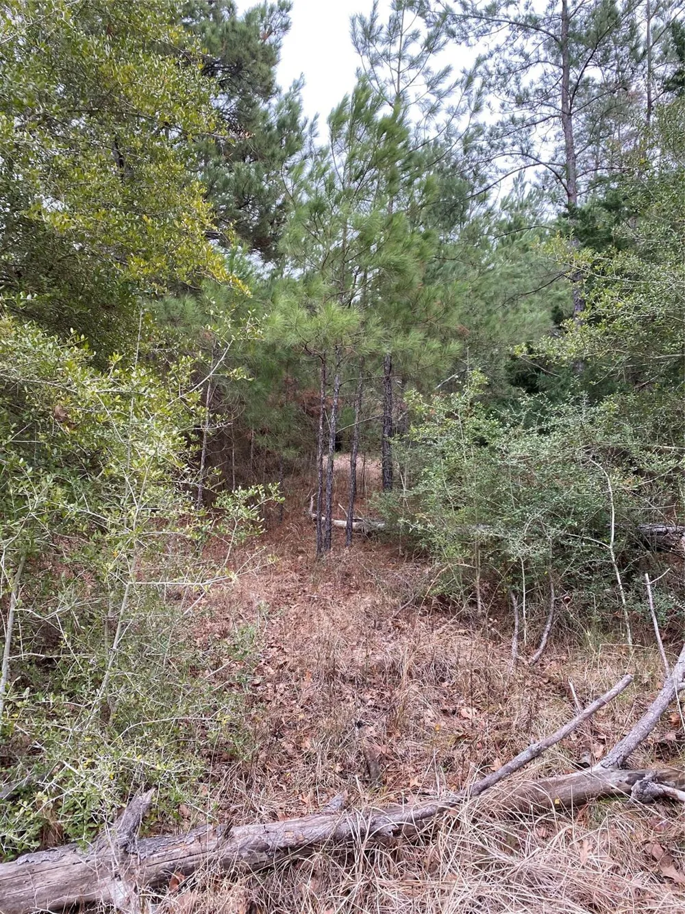 Parcel 6250 Crockett, TX 75851