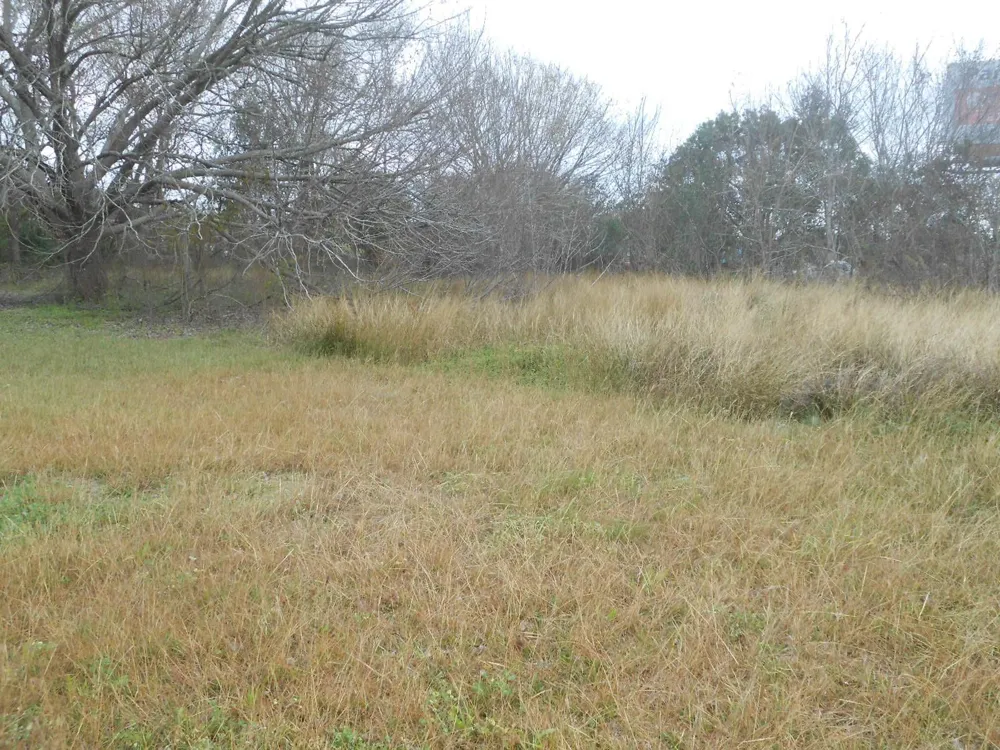 5900 Hiway 6 S Highway Trafficway Hitchcock, TX 77563
