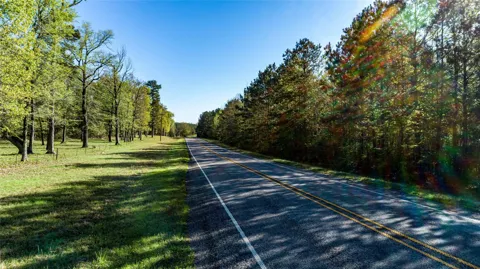 Hwy 49