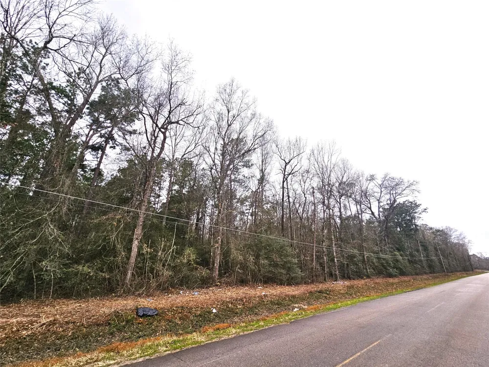 Rolling Hills Dr Porter, TX 77365