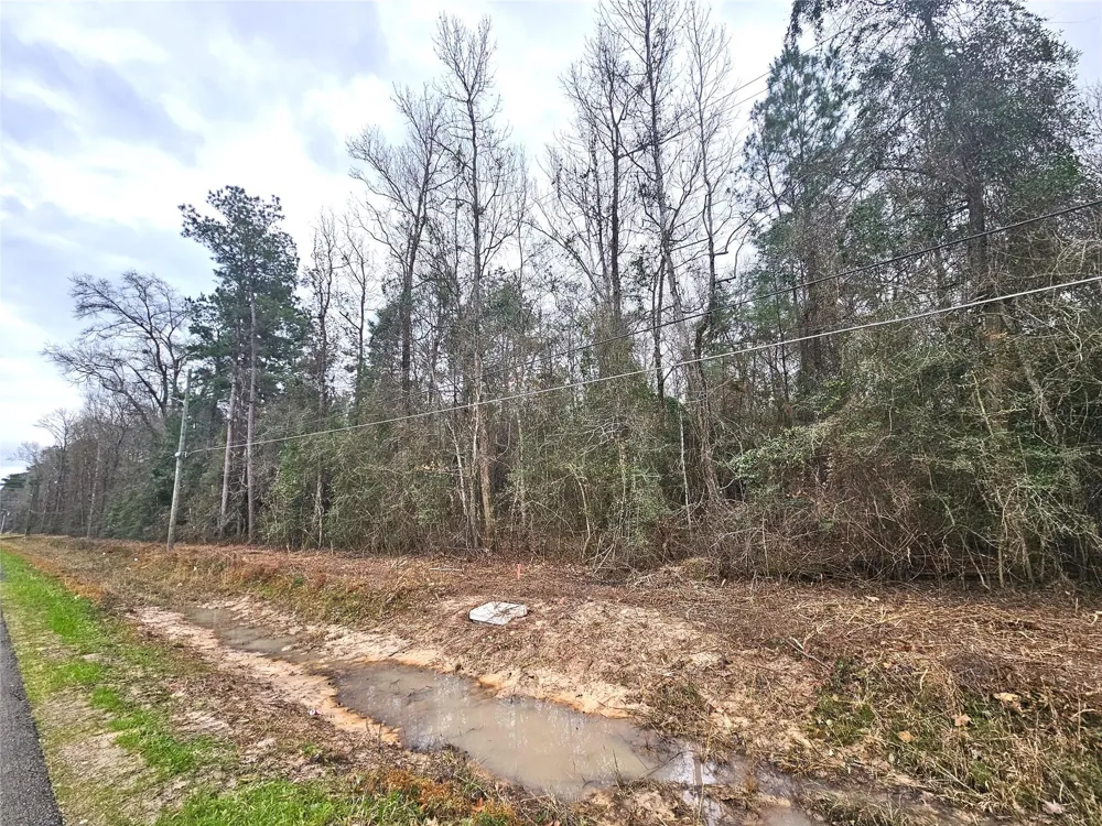 Rolling Hills Dr Porter, TX 77365