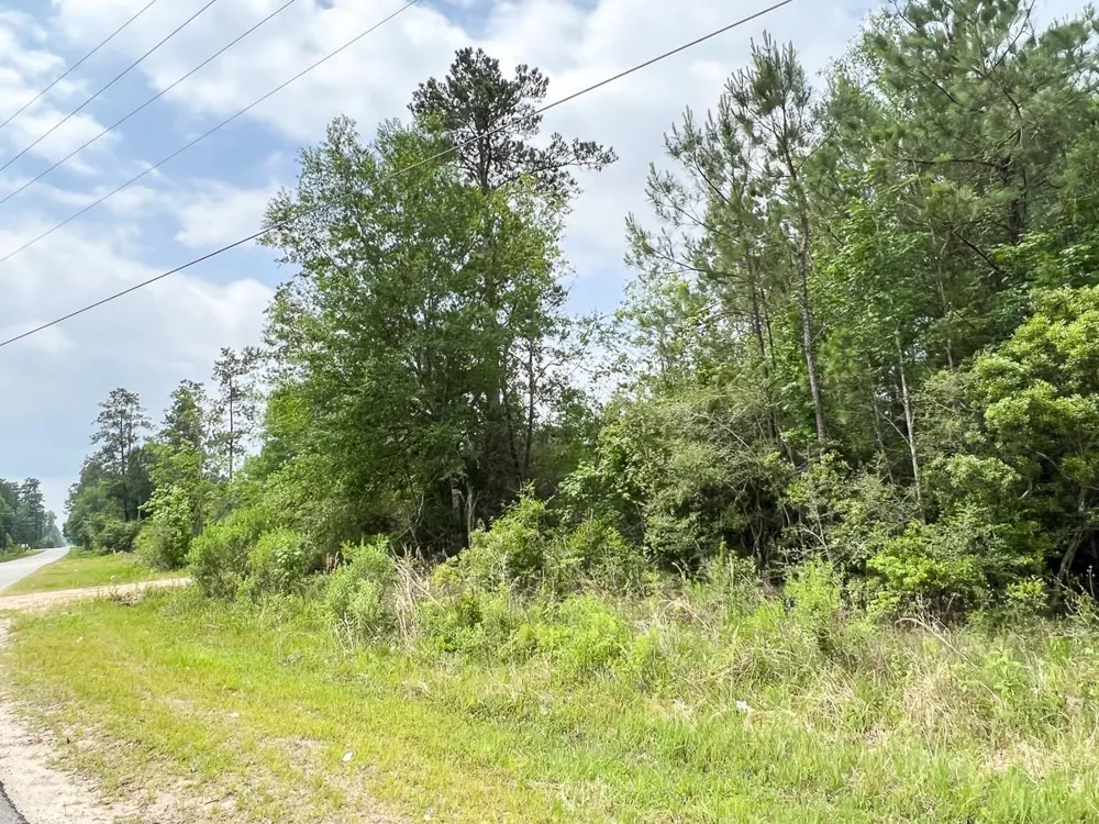 Fm 2937 Silsbee, TX 77656