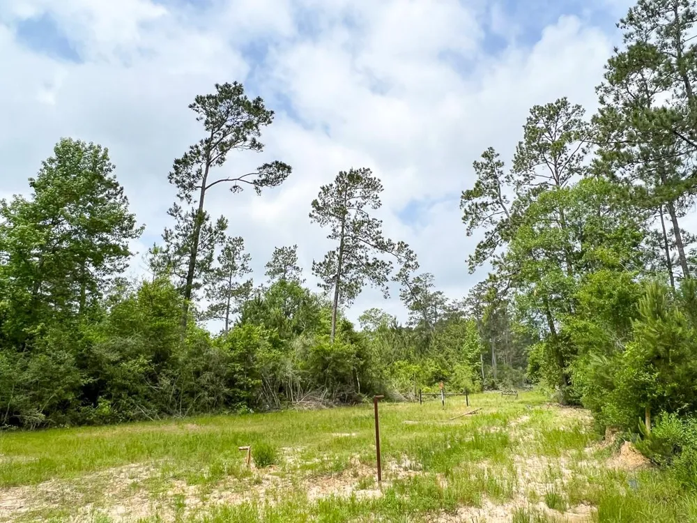 Fm 2937 Silsbee, TX 77656