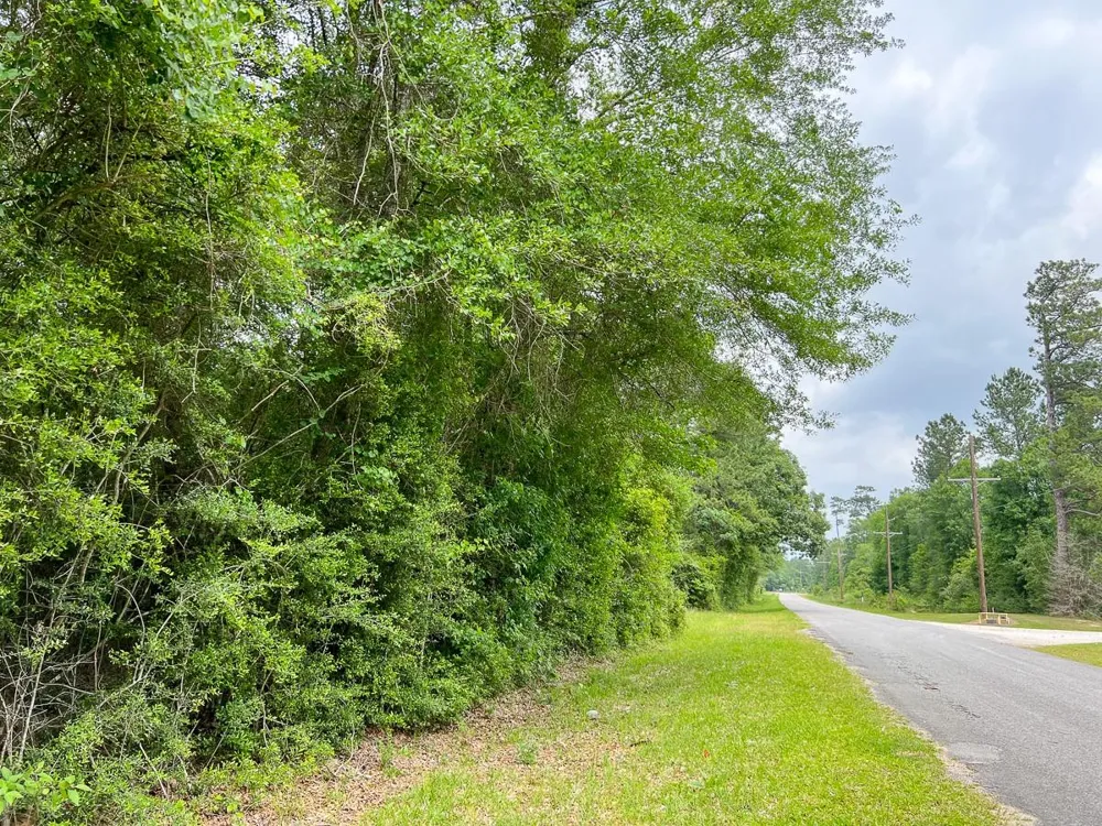 Fm 2937 Silsbee, TX 77656