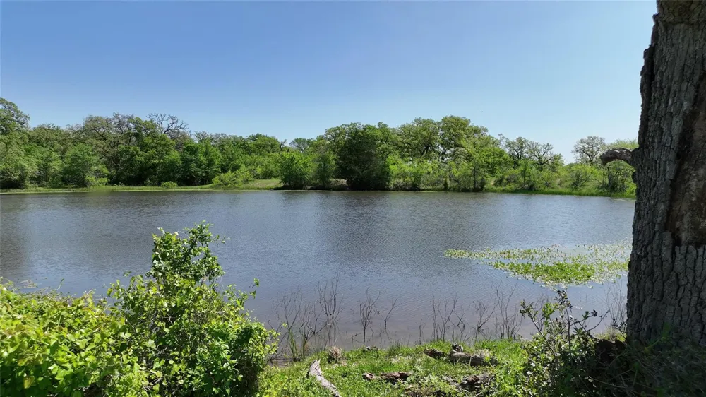 County Road 119 Ledbetter, TX 78946