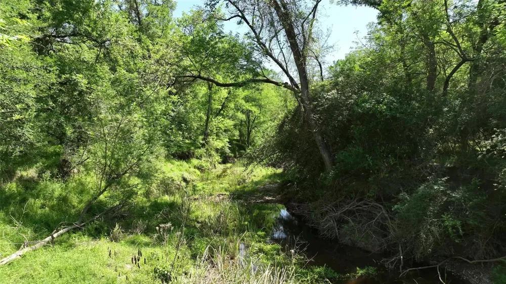 County Road 119 Ledbetter, TX 78946