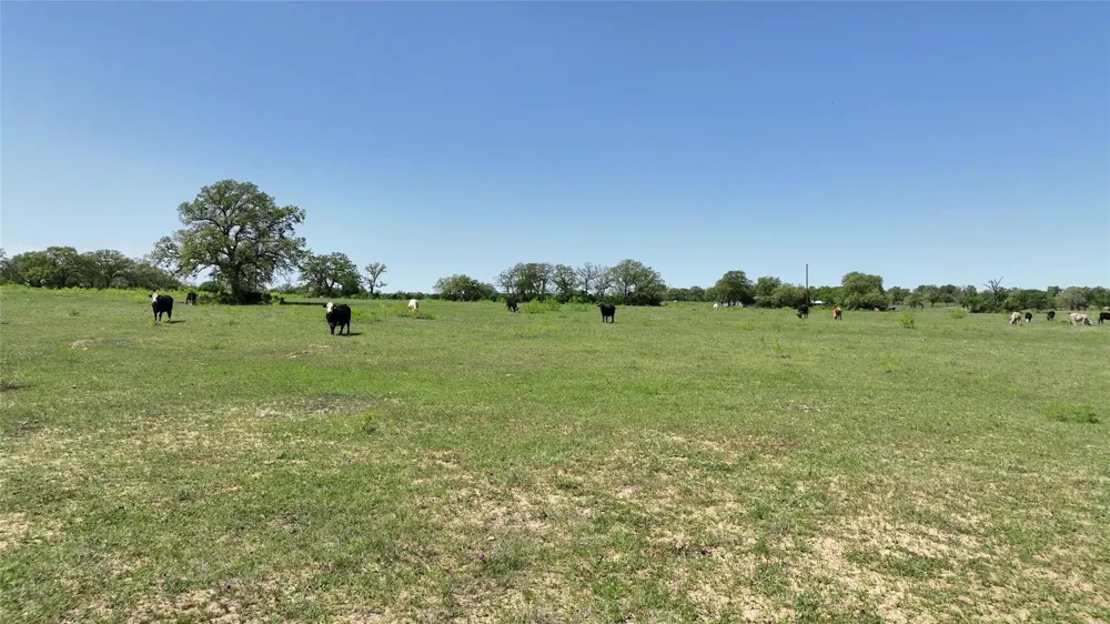 County Road 119 Ledbetter, TX 78946