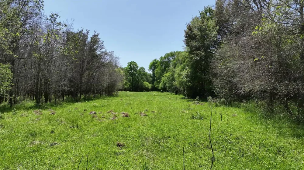County Road 119 Ledbetter, TX 78946