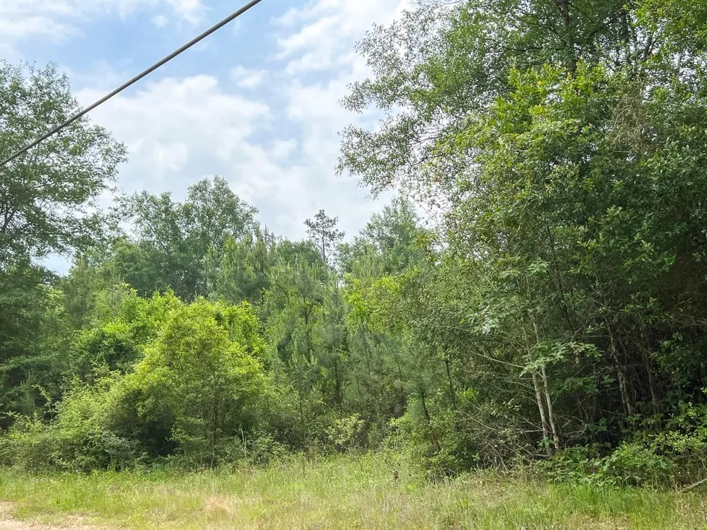 13 Old Arco Rd Silsbee, TX 77656