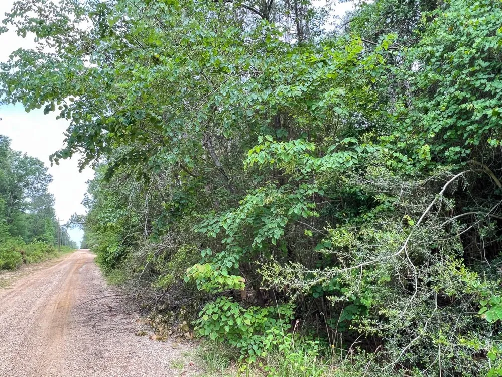 13 Old Arco Rd Silsbee, TX 77656