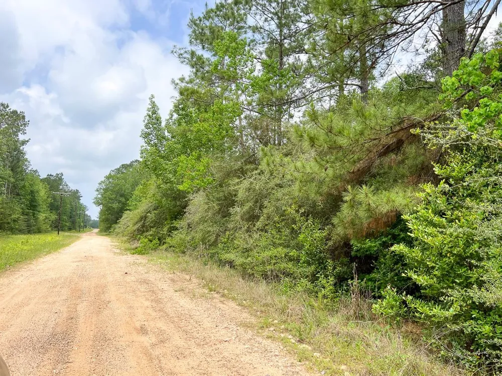 13 Old Arco Rd Silsbee, TX 77656