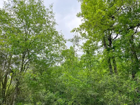 Cravens Camp Road