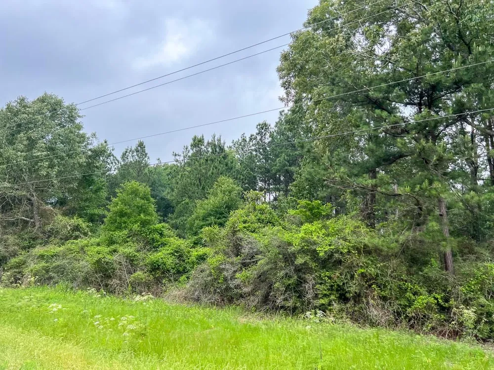 Fm 1475 Lufkin, TX 75901