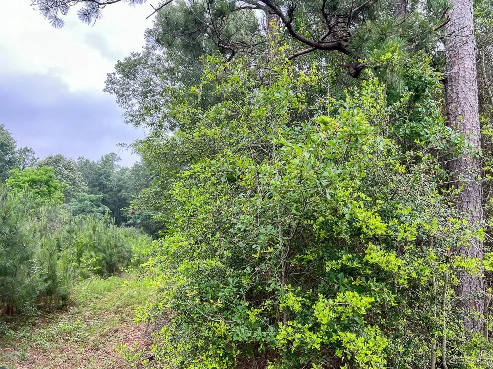Fm 1475 Lufkin, TX 75901