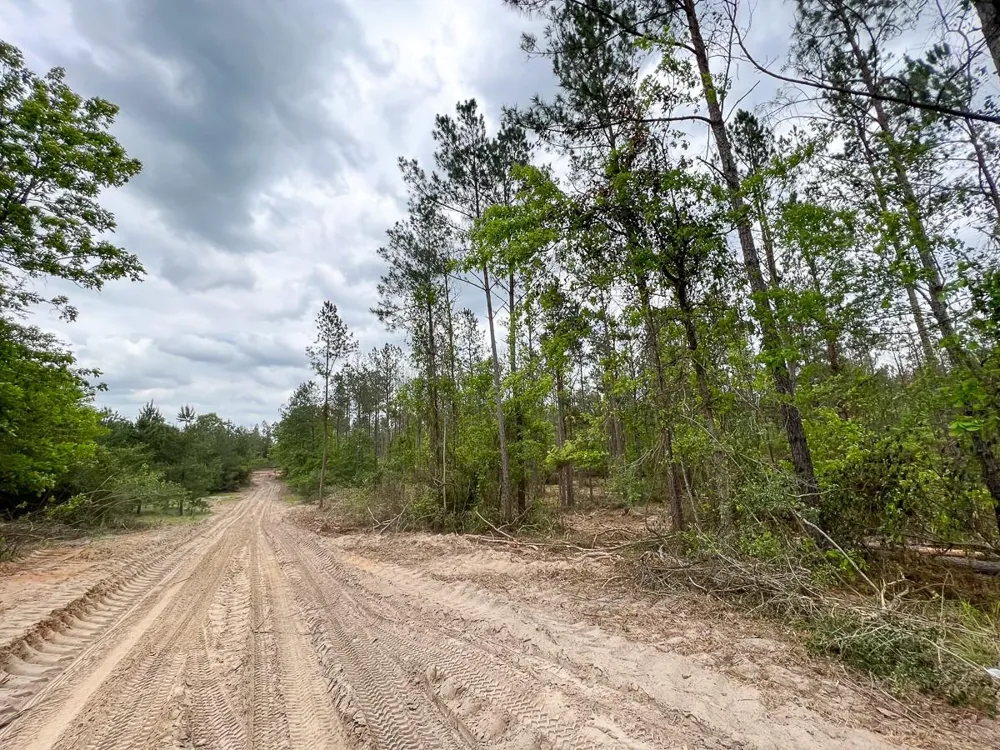 5 Cr 2145 Crockett, TX 75835