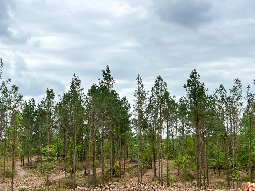 5 Cr 2145 Crockett, TX 75835