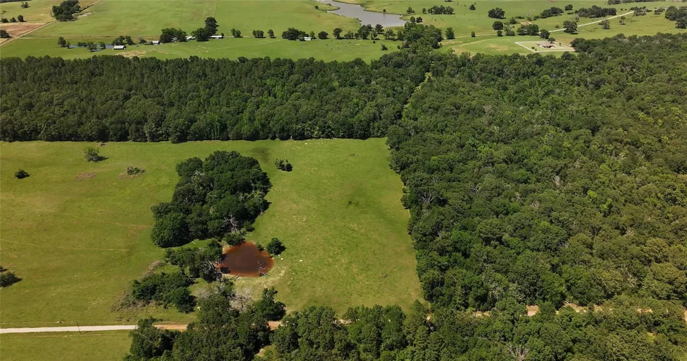 An County Road 430 Palestine, TX 75803