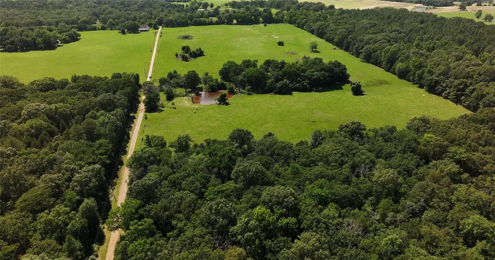 An County Road 430 Palestine, TX 75803