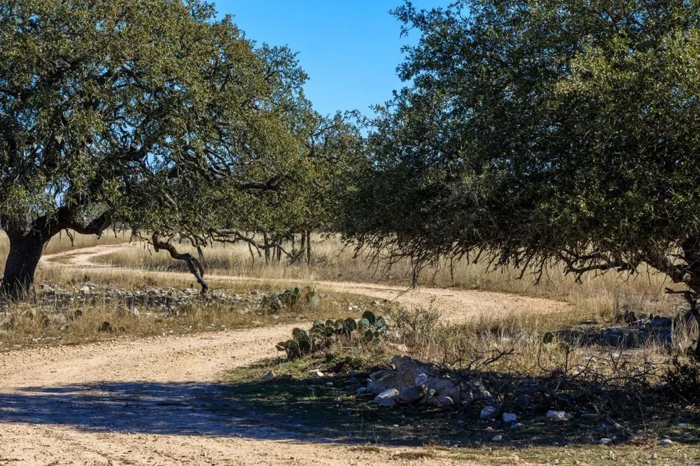 3681 K2 Road Mountain Home, TX 78058