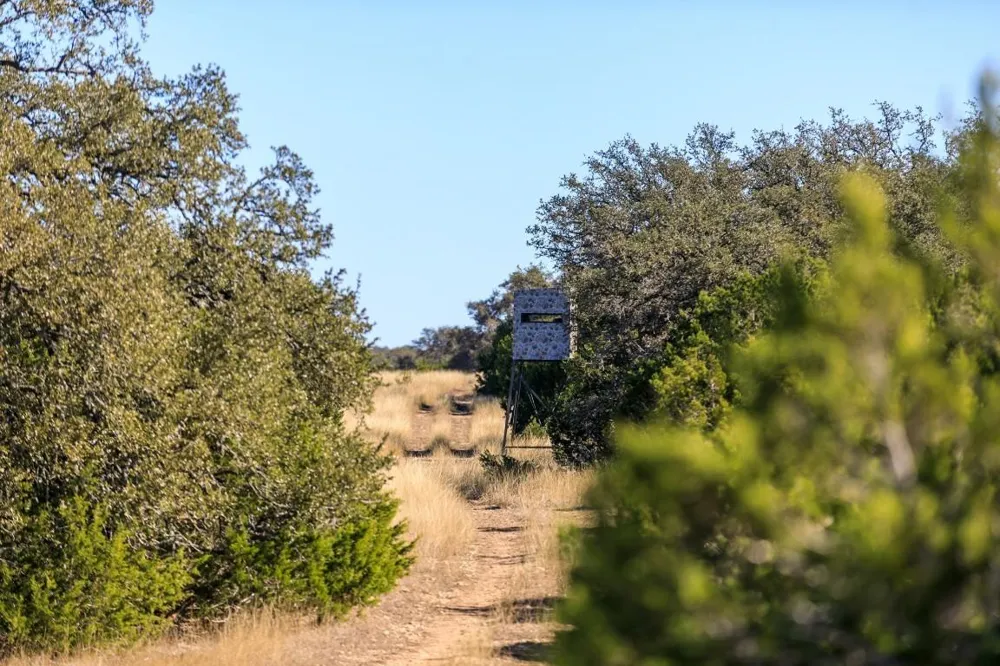 3681 K2 Road Mountain Home, TX 78058