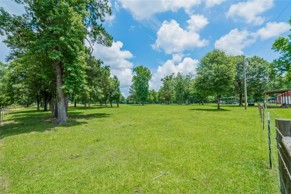 1003 Ellisor Road New Waverly, TX 77358