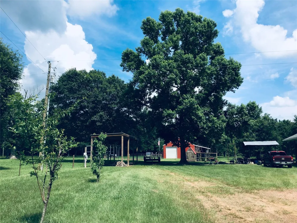 1003 Ellisor Road New Waverly, TX 77358