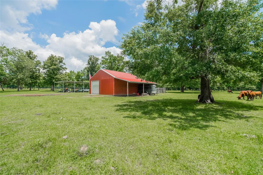 1003 Ellisor Road New Waverly, TX 77358