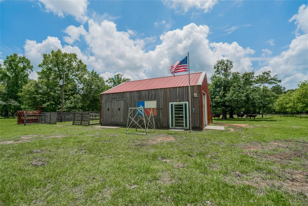 1003 Ellisor Road New Waverly, TX 77358