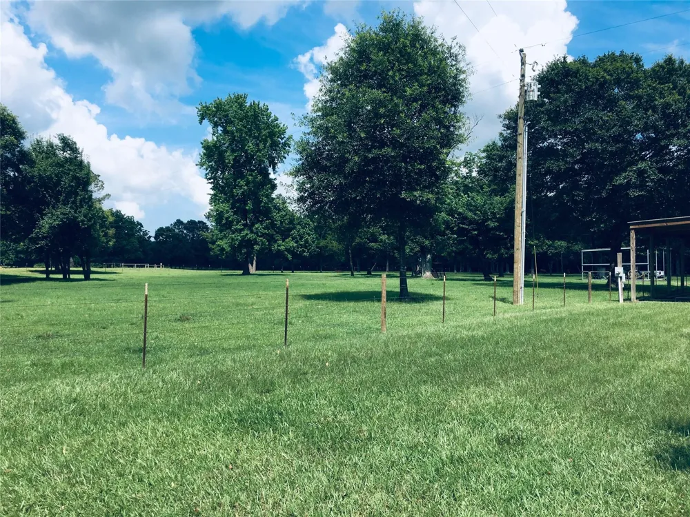 1003 Ellisor Road New Waverly, TX 77358