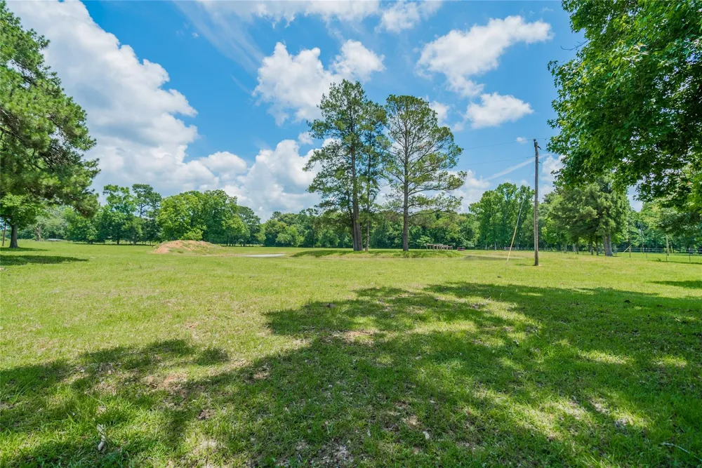 1003 Ellisor Road New Waverly, TX 77358