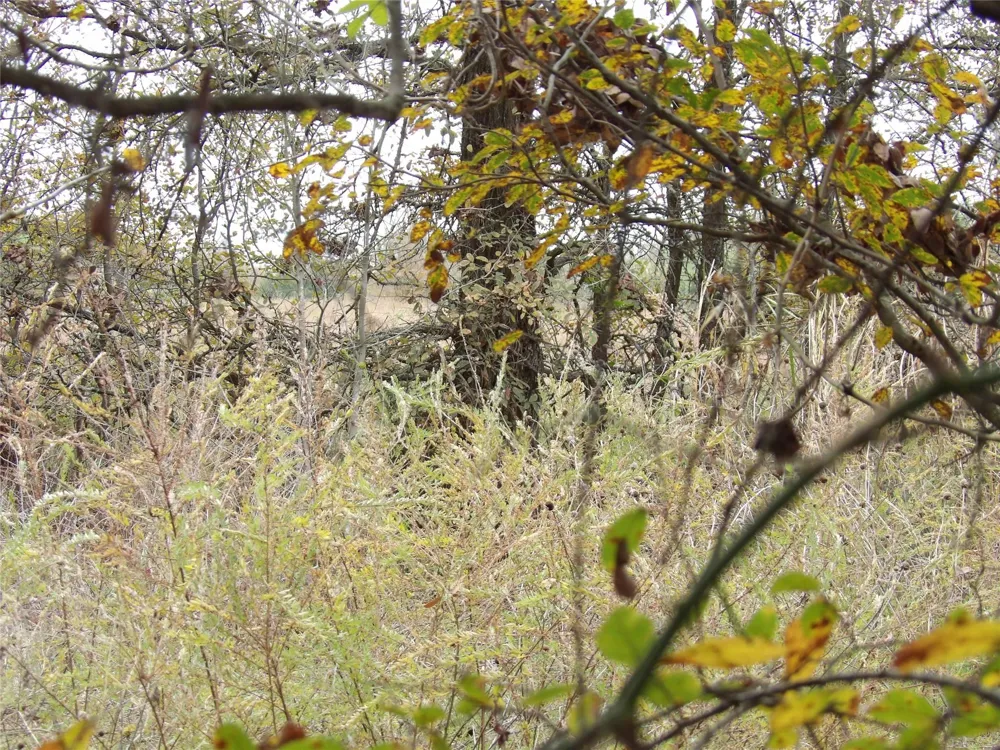 1401 Rs County Road 1530 Point, TX 75472