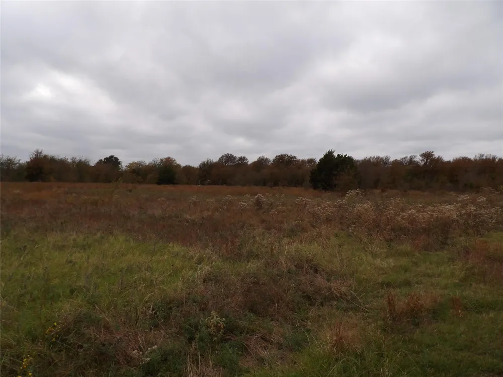 1401 Rs County Road 1530 Point, TX 75472