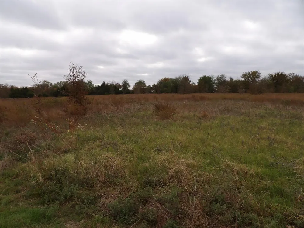 1401 Rs County Road 1530 Point, TX 75472