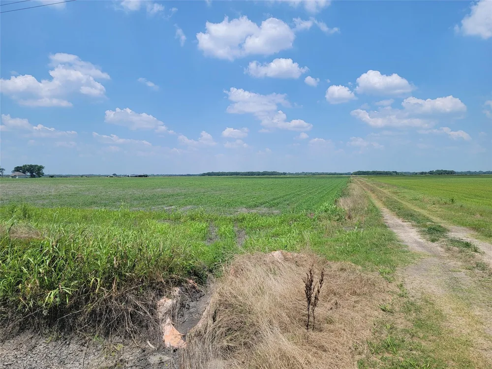 County Rd 319 El Campo, TX 77437