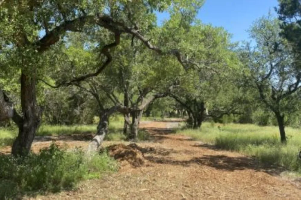 208 Spicewood Trail Drive Spicewood, TX 78669