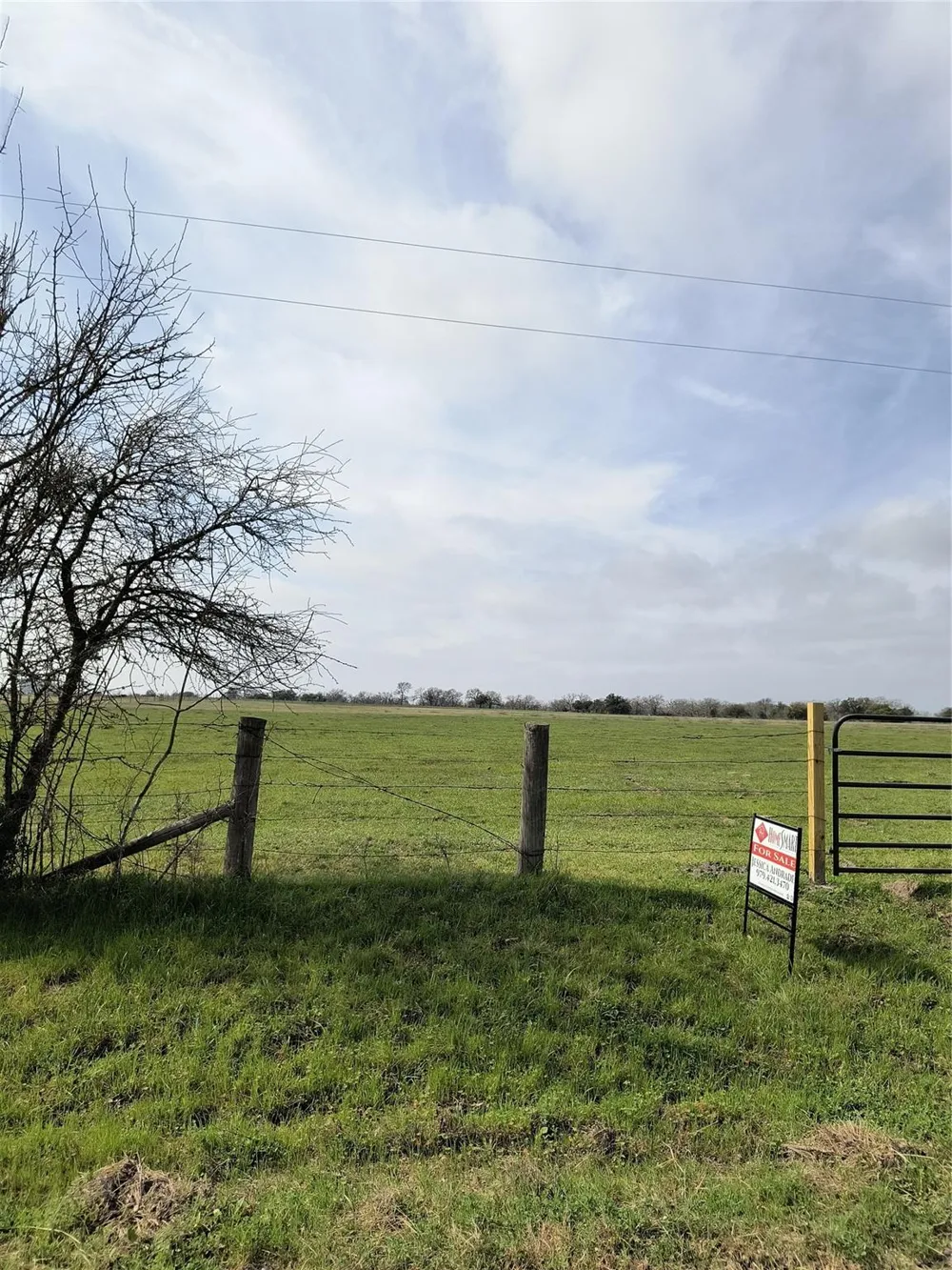 County Road 274 Somerville, TX 77879