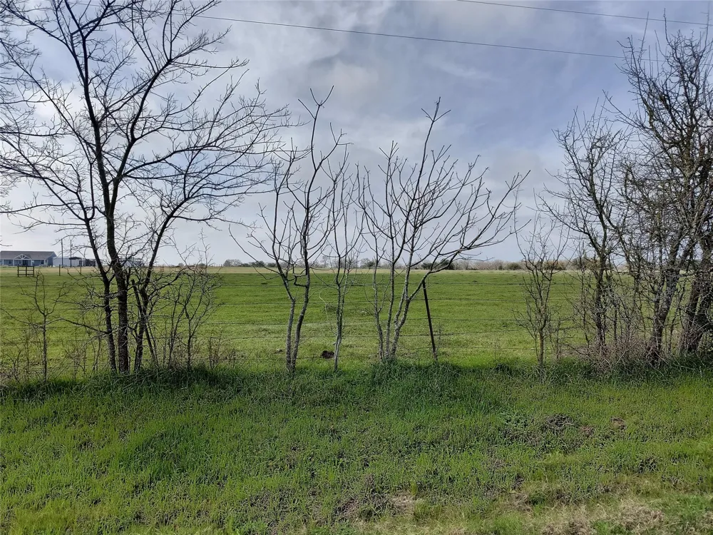 County Road 274 Somerville, TX 77879