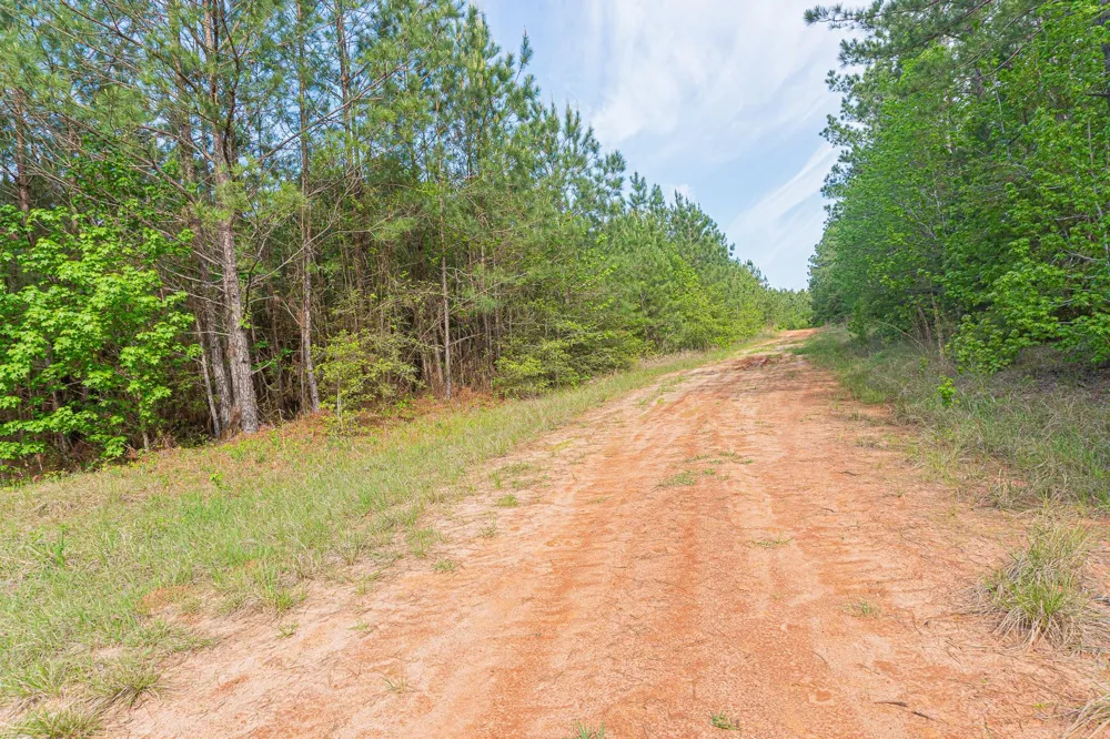 25417 Fm 705 Broaddus, TX 75929