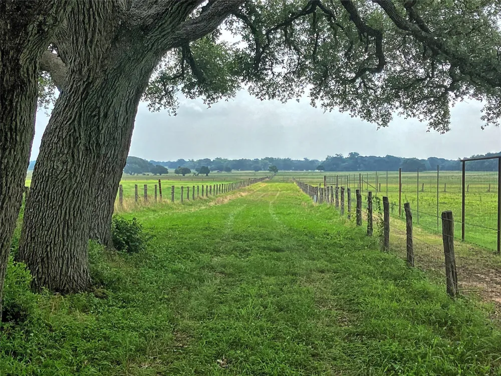 Neiser Lane Weimar, TX 78962